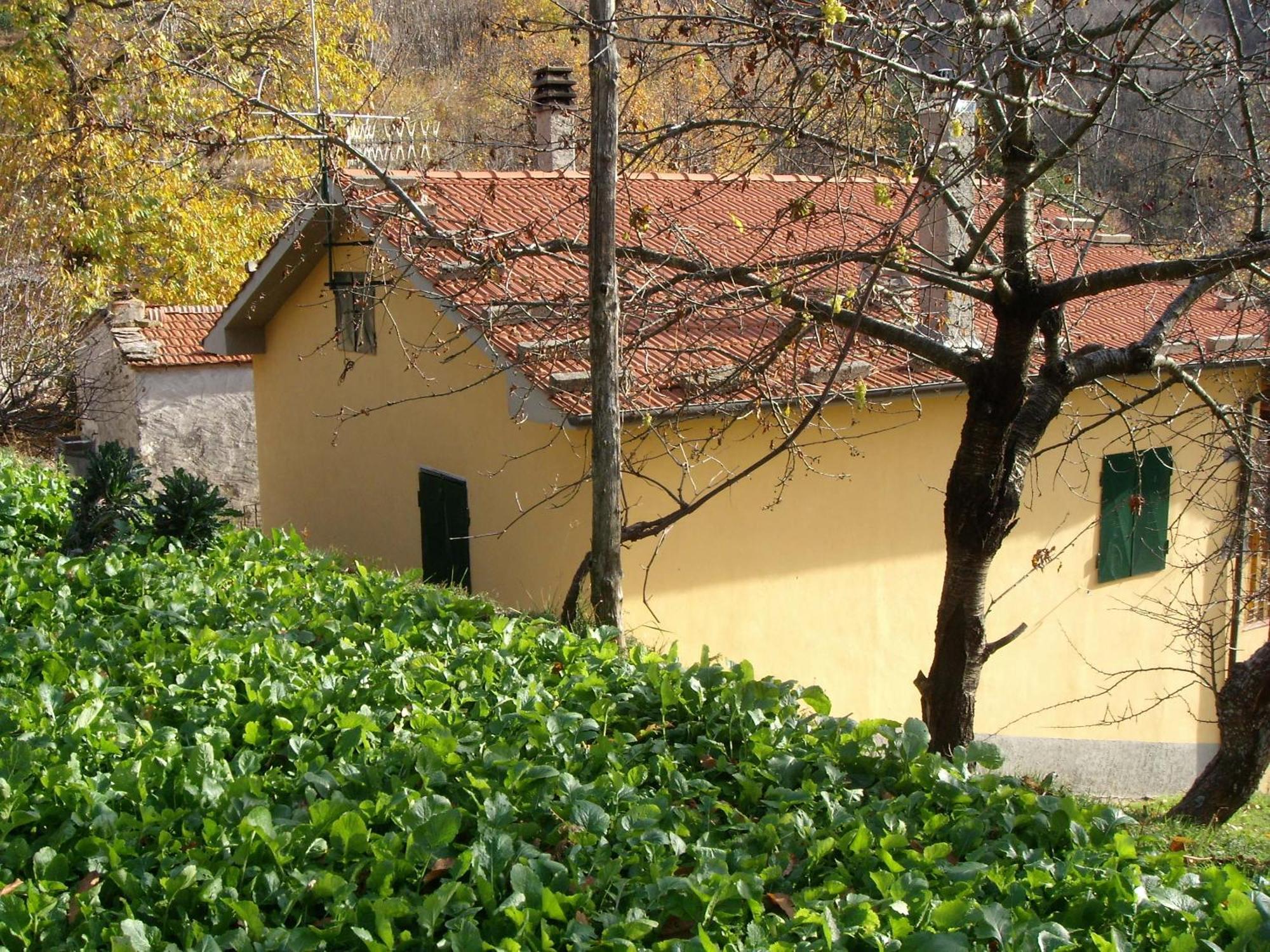 Agriturismo Prato Fiorito Bagni di Lucca Εξωτερικό φωτογραφία